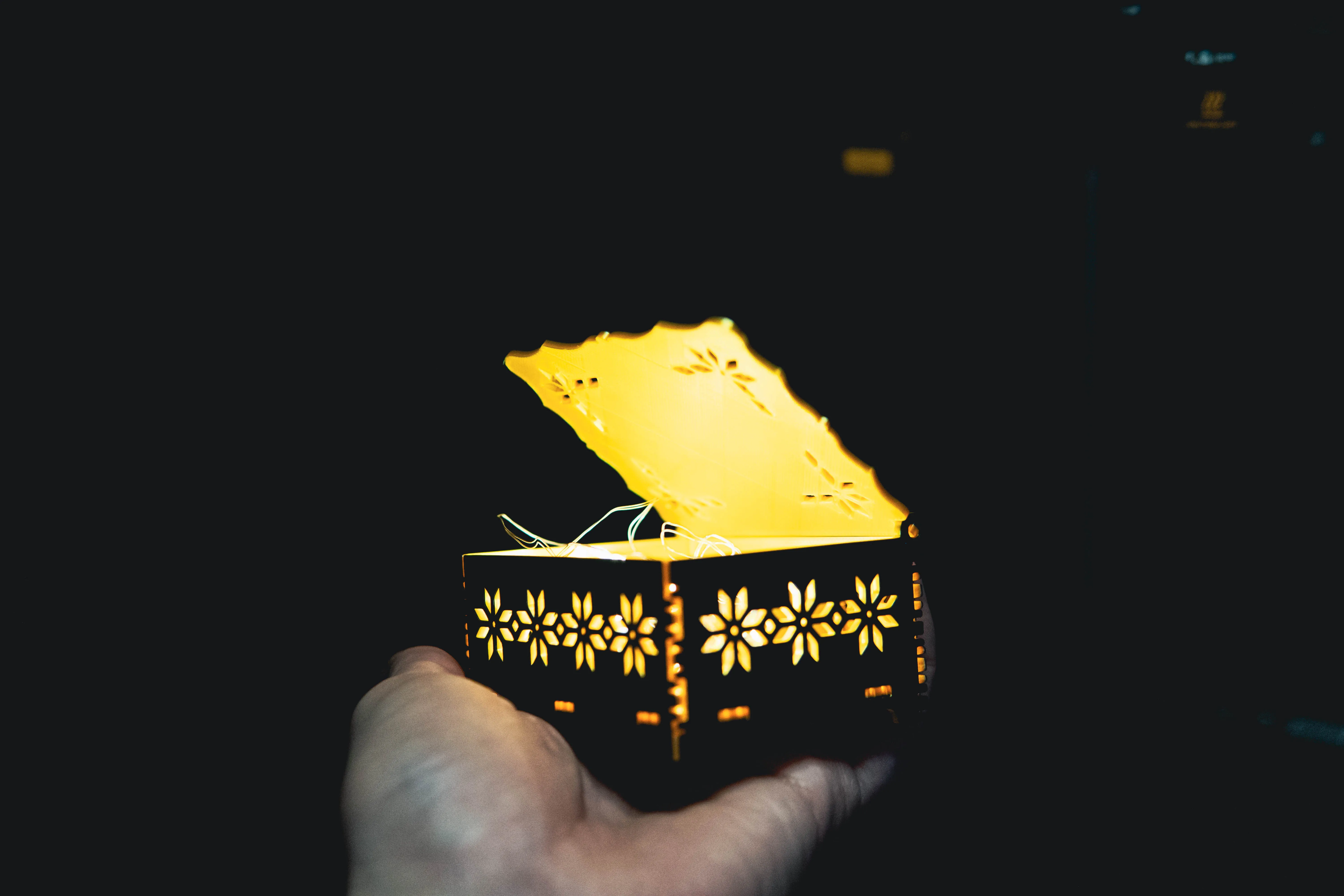[Laser cut and engrave] Illuminated wooden box with floral cutout patterns