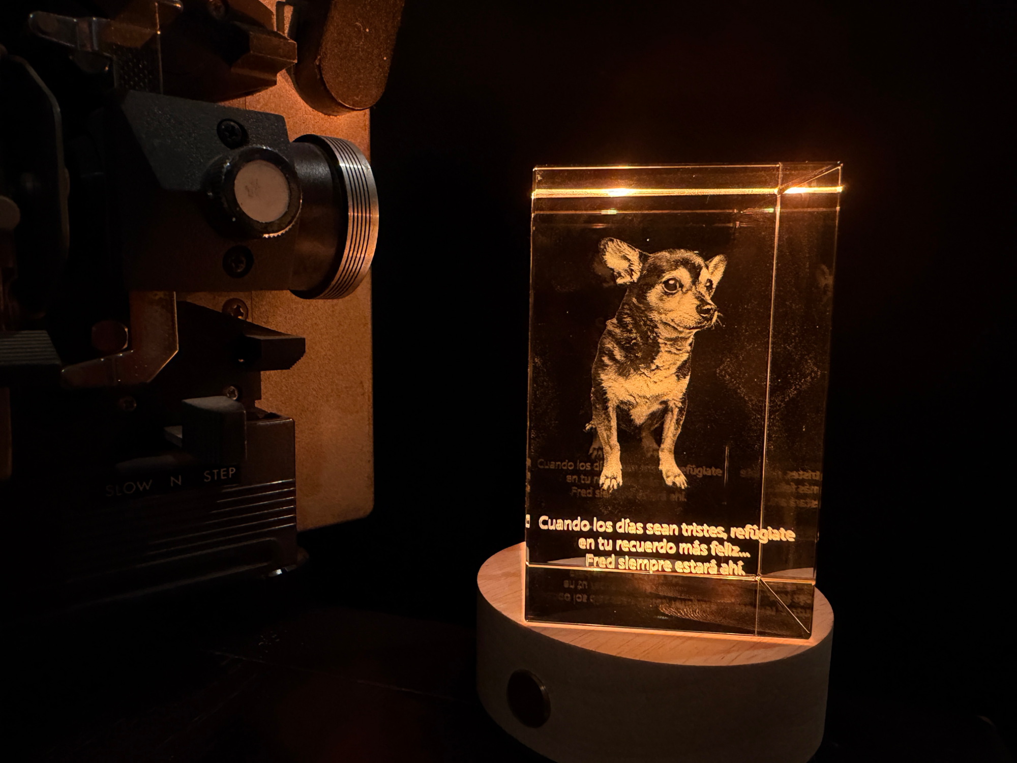 Illuminated glass block with dog portrait and memorial inscription
