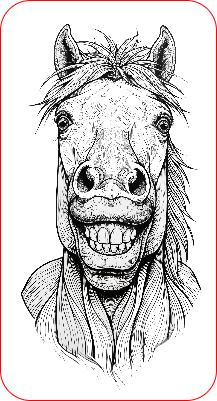 funny horse_face.xs