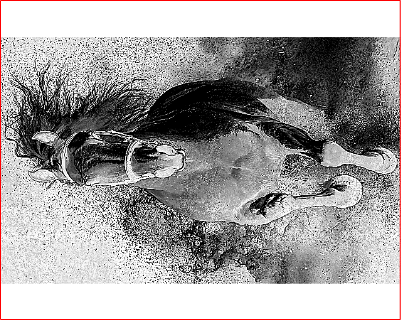 Untitled.xcs
