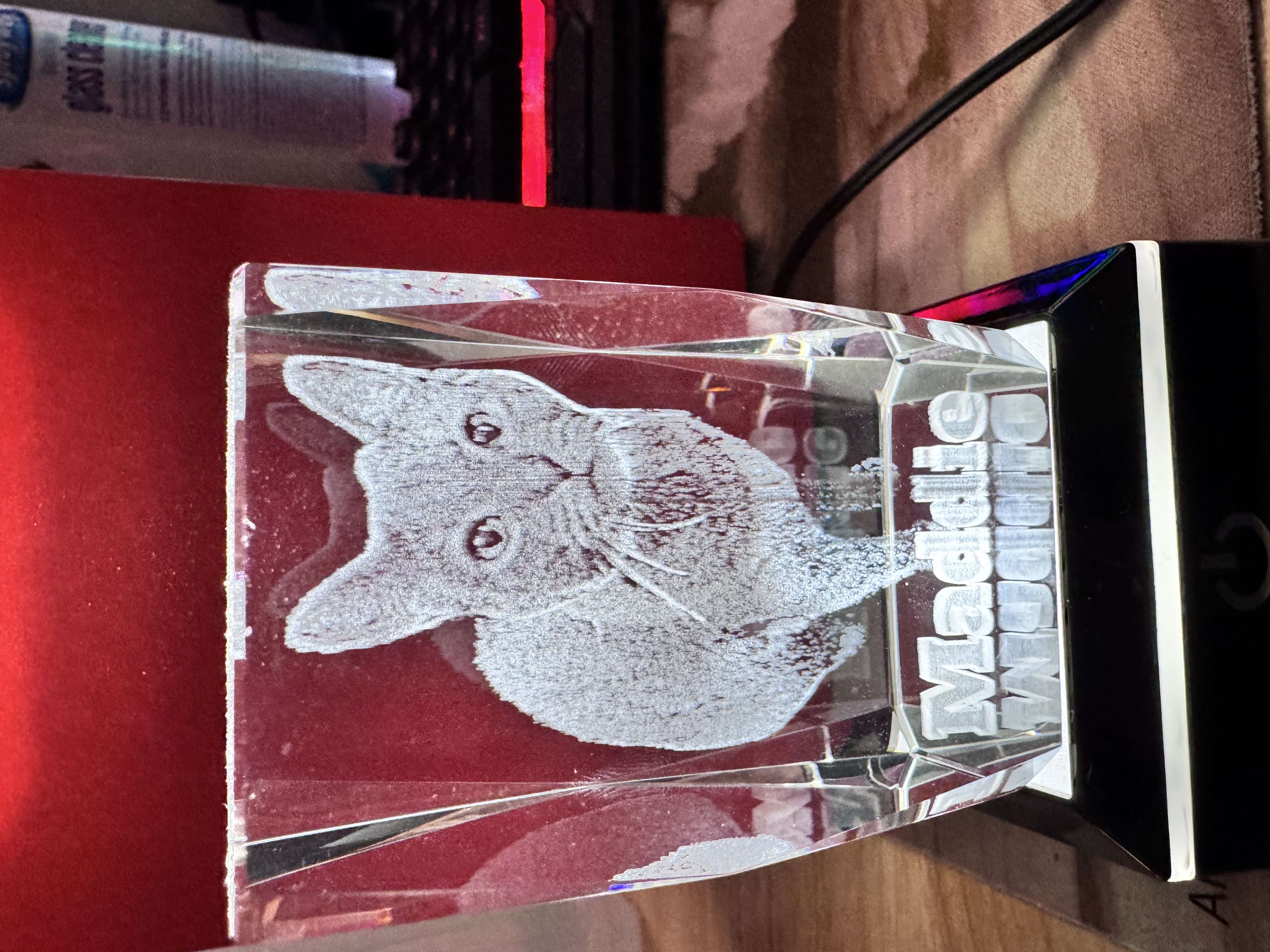 [Laser cut and engrave] Crystal block with Maddie cat portrait and LED light base