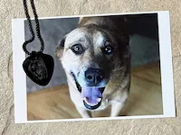 [Laser cut and engrave] Dog Portrait Guitar Pick Necklace