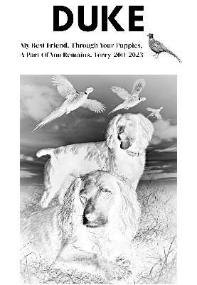 slate_recovered.xs