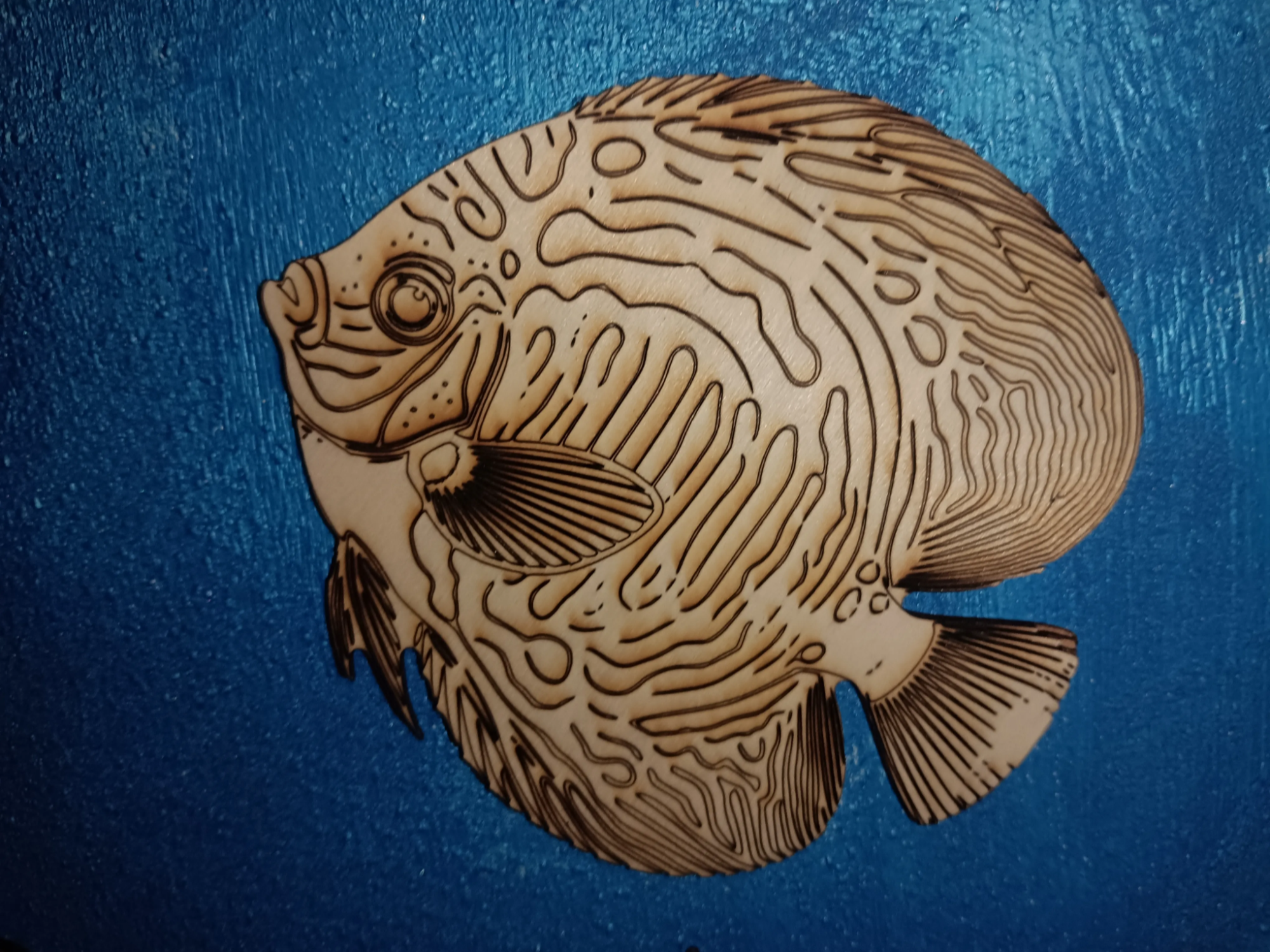 PESCE 6