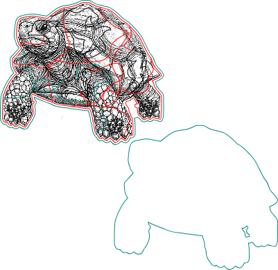 puzzle tortue.xcs