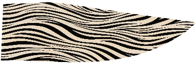 Untitled.xs