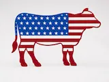 [Laser cut and engrave] Patriotic Cow - Laser Cutting Design
