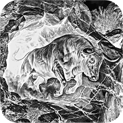 3d illusion Wild Bull square slate Coaster.xs