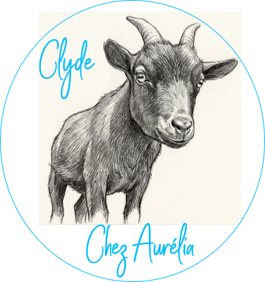 magnet Clyde.xs