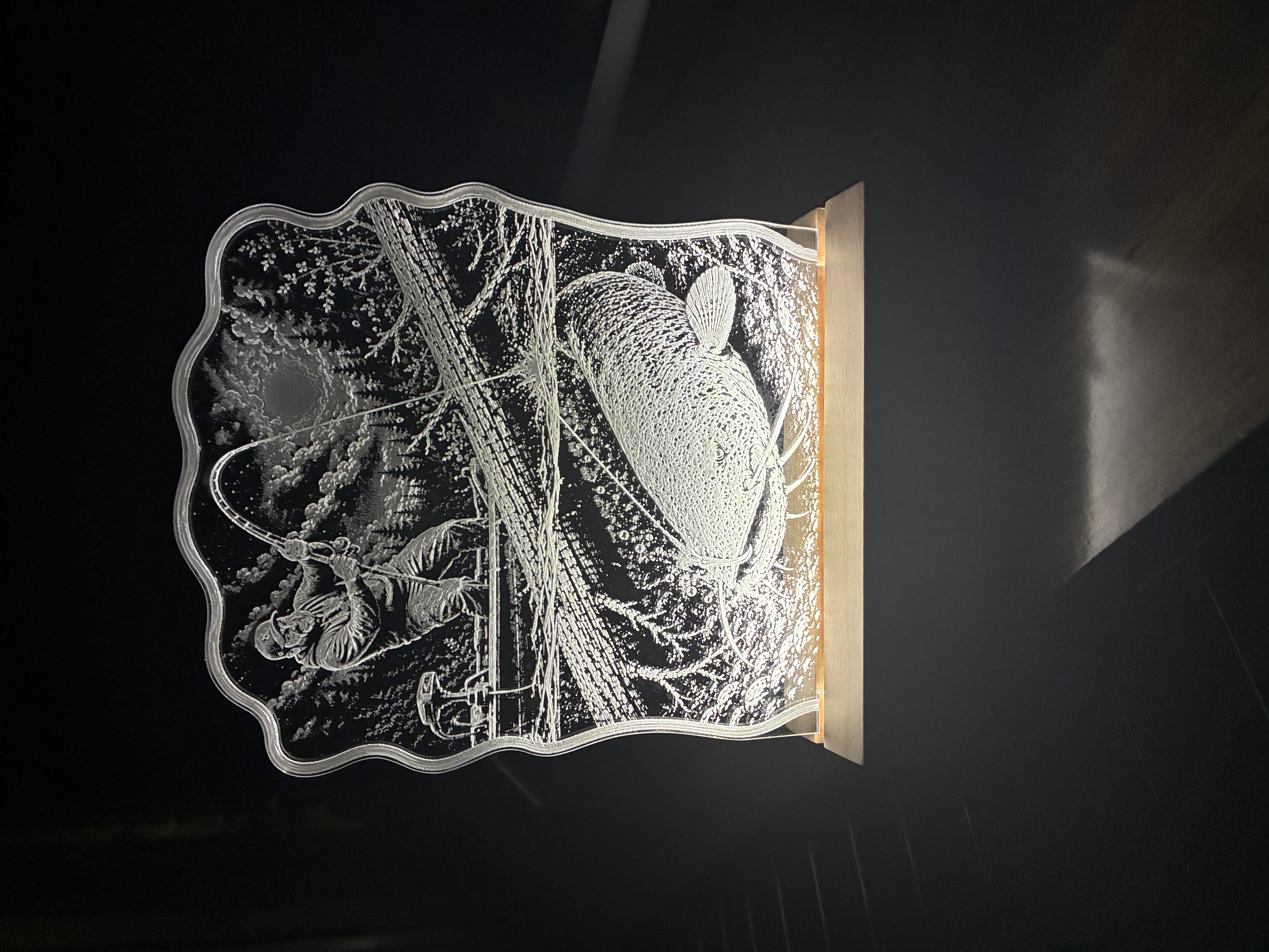 [Laser cut and engrave] Catfishing Lighted Sign