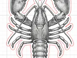 [Laser cut and engrave] Lobster Shaped Wooden Coaster