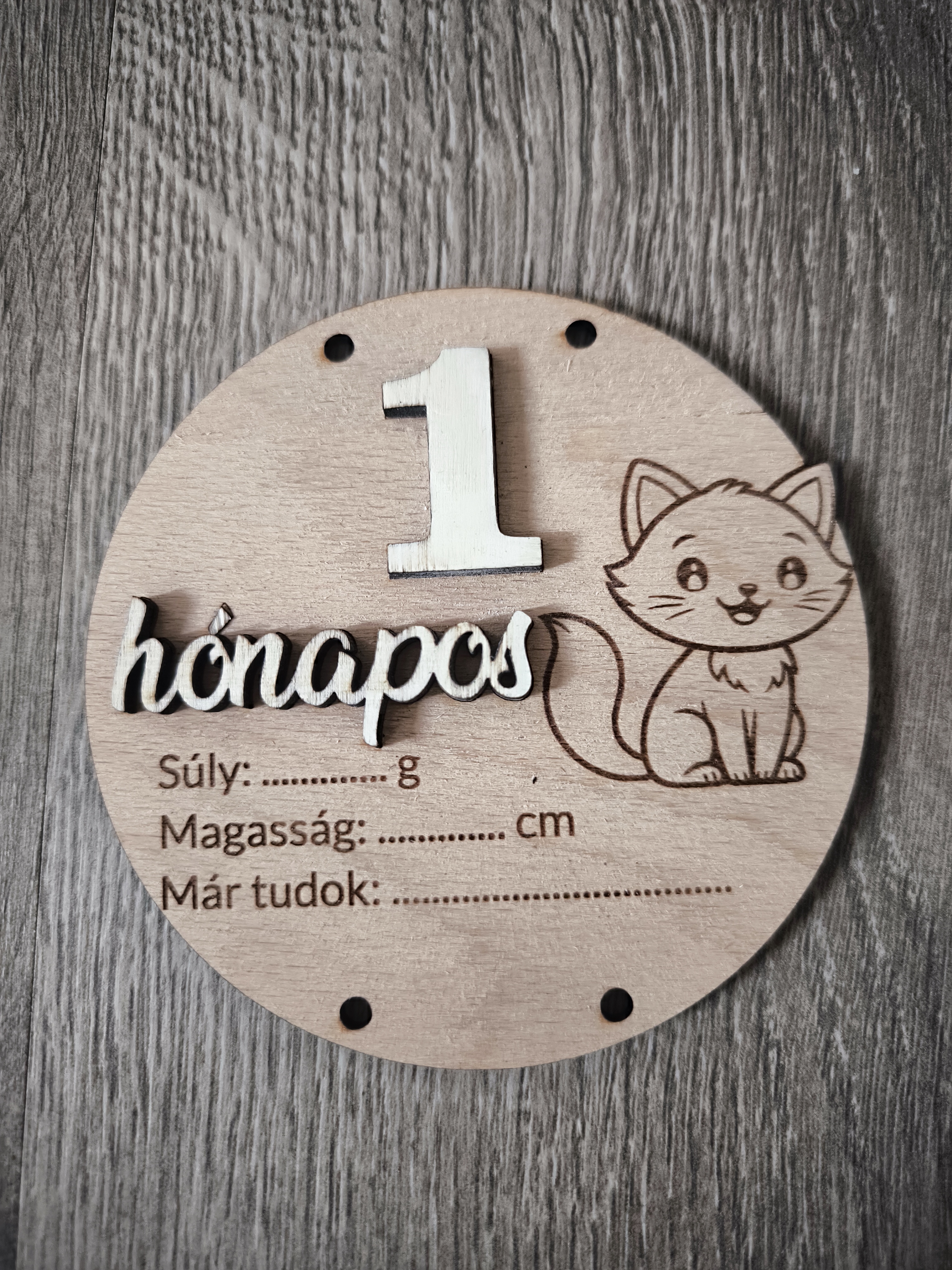 [Laser cut and engrave] Wooden monthly baby milestone marker with cat