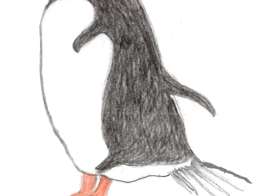 Hand-drawn pencil sketch of a standing penguin