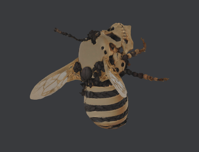 SkullBee.xs