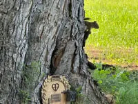 [Laser cut and engrave] Wooden Hobbit Gnome Door with Lantern Mailbox for Garden