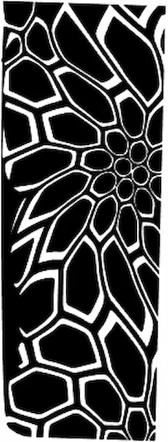 Untitled.xs