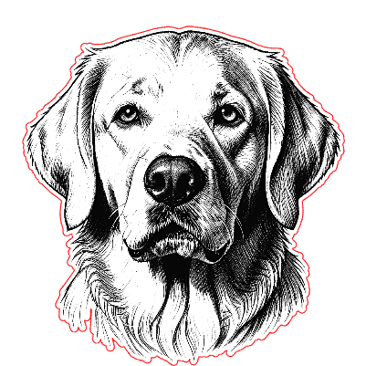 Portrait Chien.xs