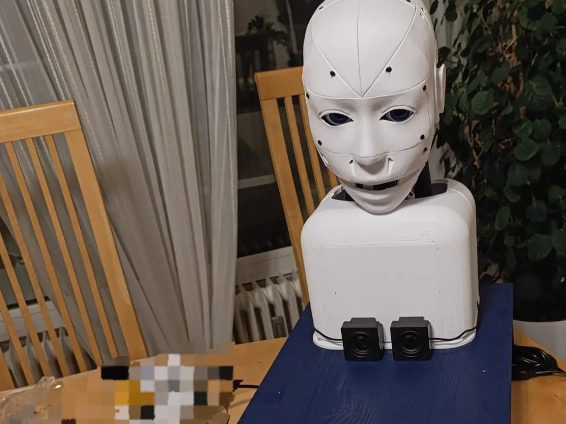 RAAUL- An Existential AI Robot Installation