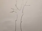 [Laser cut and engrave] Stensil tree