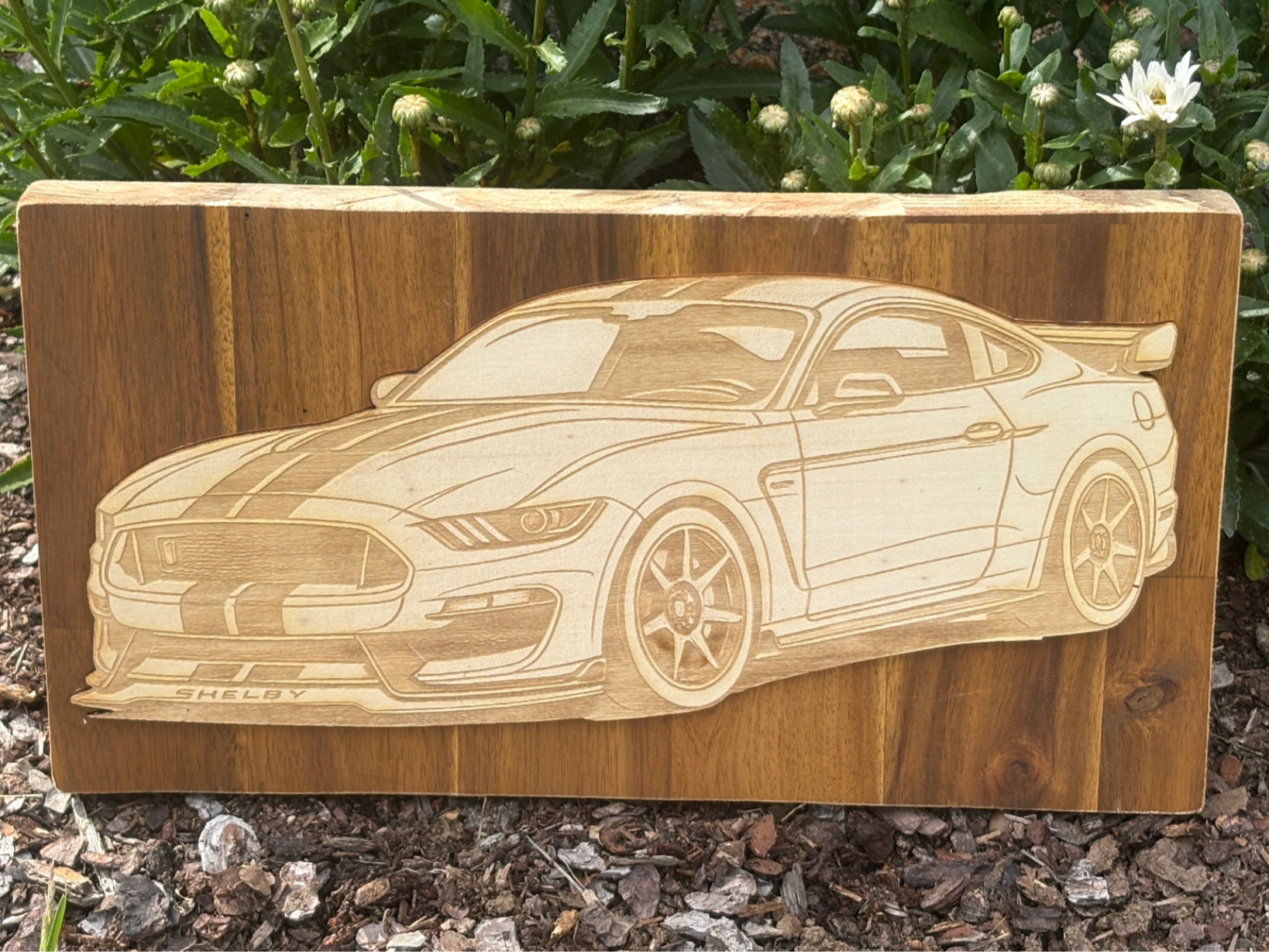 Holzbild mit Shelby Mustang Sportwagen Motiv