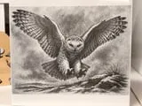 [Laser cut and engrave] Snowy Owl Flying Illustration Ceramic Tile
