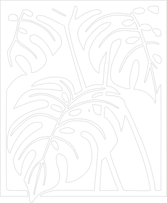 Monstera wall deco.xs