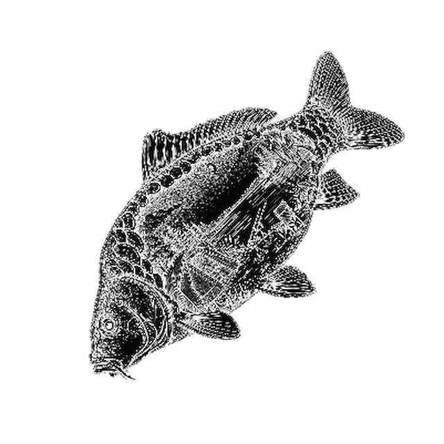 Carp scene coaster.xs