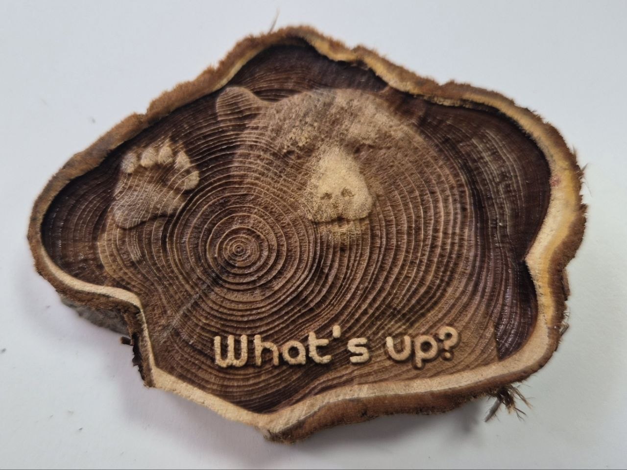 [Laser cut and engrave] Деревянная подставка под кружку с изображением медведя и надписью What's up или  мангнит