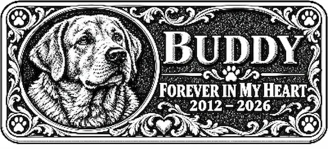 Buddy 3d.xs