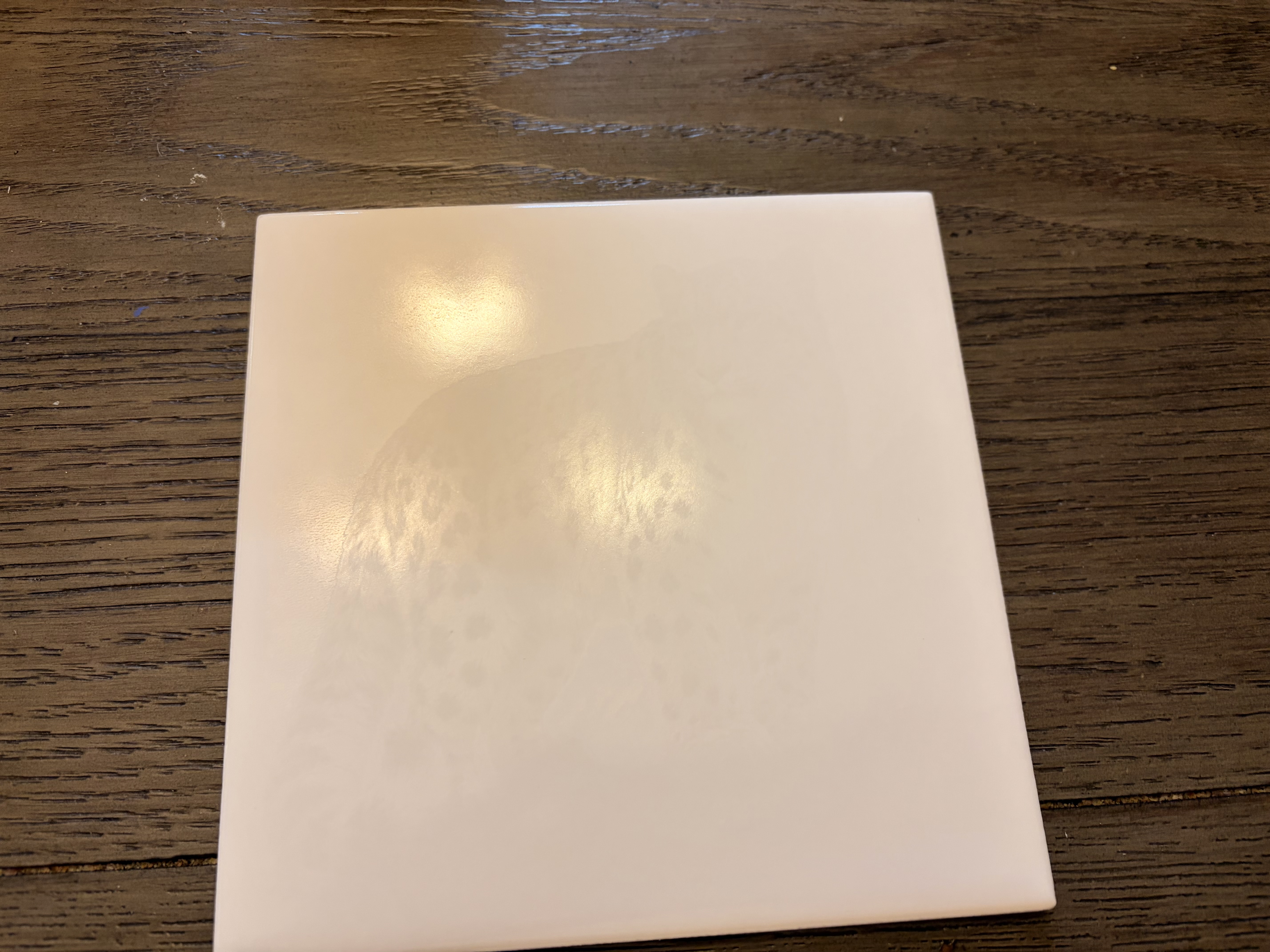 Snowy Owl Ceramic Tile instruction: step 1 - Easy Directions