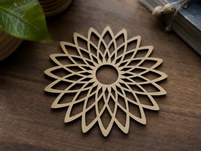 Coaster Project