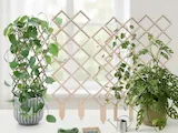 [Laser cut and engrave] Treillis en bois pour plantes grimpantes d'intérieur