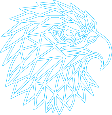 eagle head.xcs