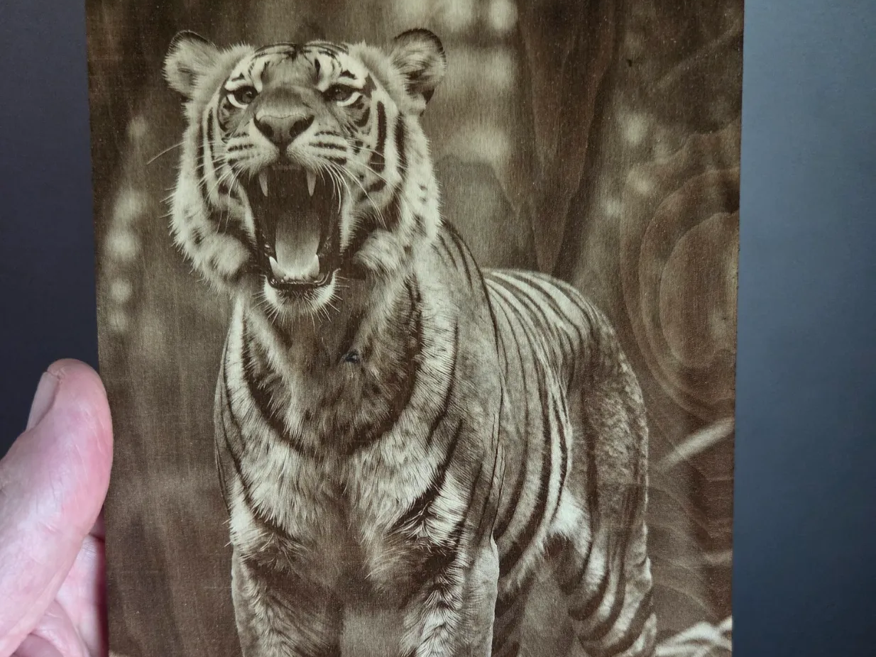 Roaring Tiger Portrait Wall Art