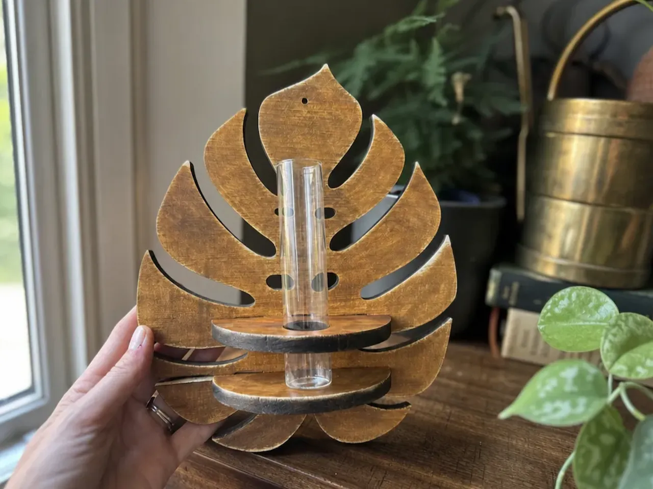 [Laser cut and engrave] Monstera Leaf Wall Hanging Plant Propagation Station with Glass Tube