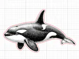 [Laser cut and engrave] Orca Whale