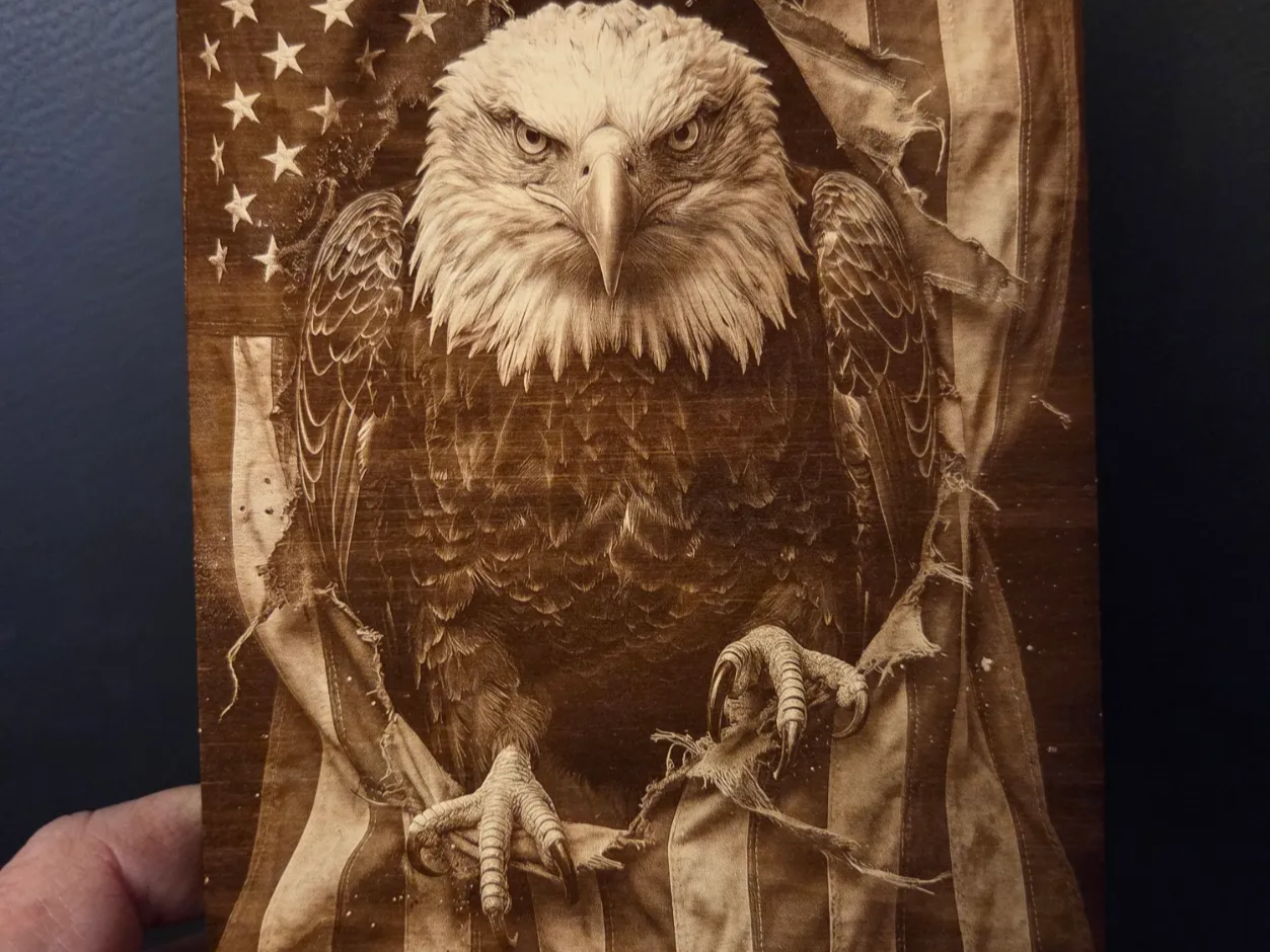 Bald Eagle and American Flag Wall Art