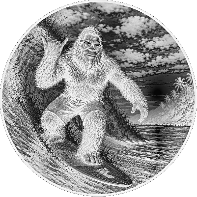 Surf1.xcs