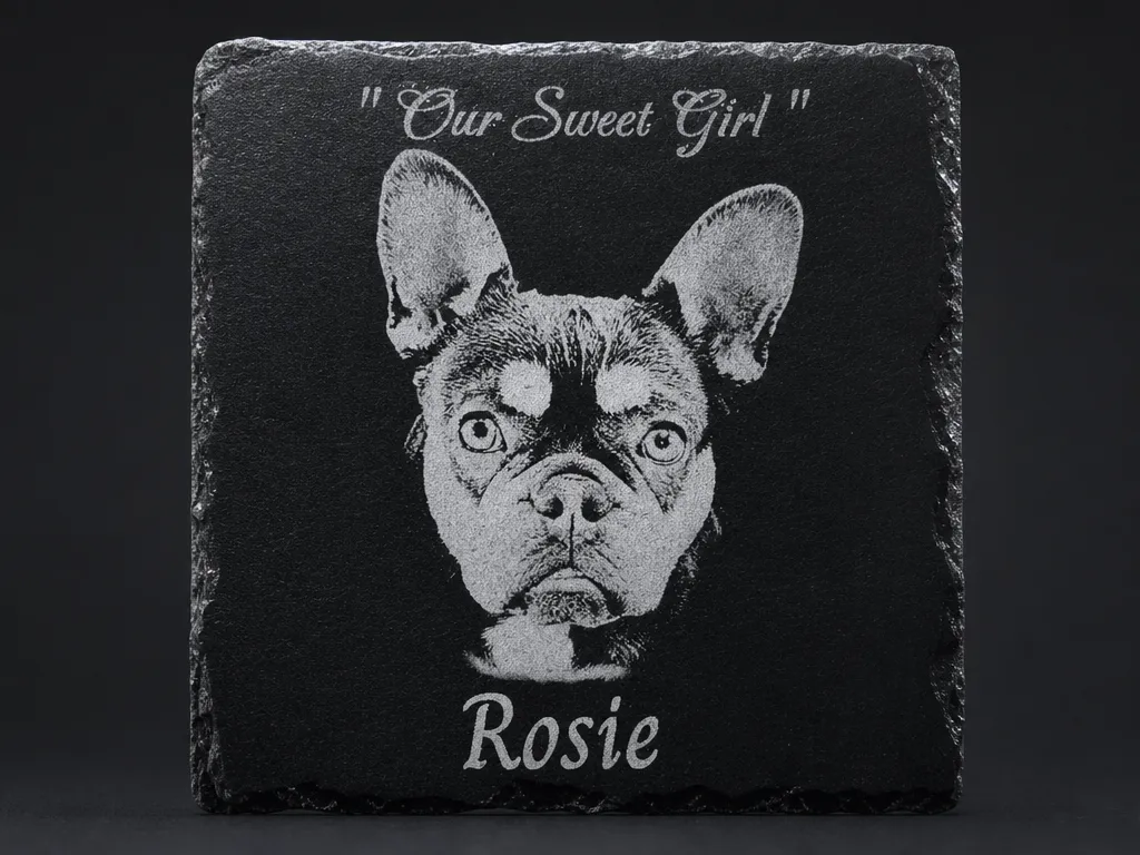 Dog on Slate