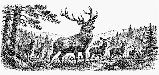 Deer Scene serving board.xs
