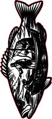 Fish(Legacy Backup).xs
