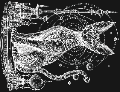 Untitled.xs