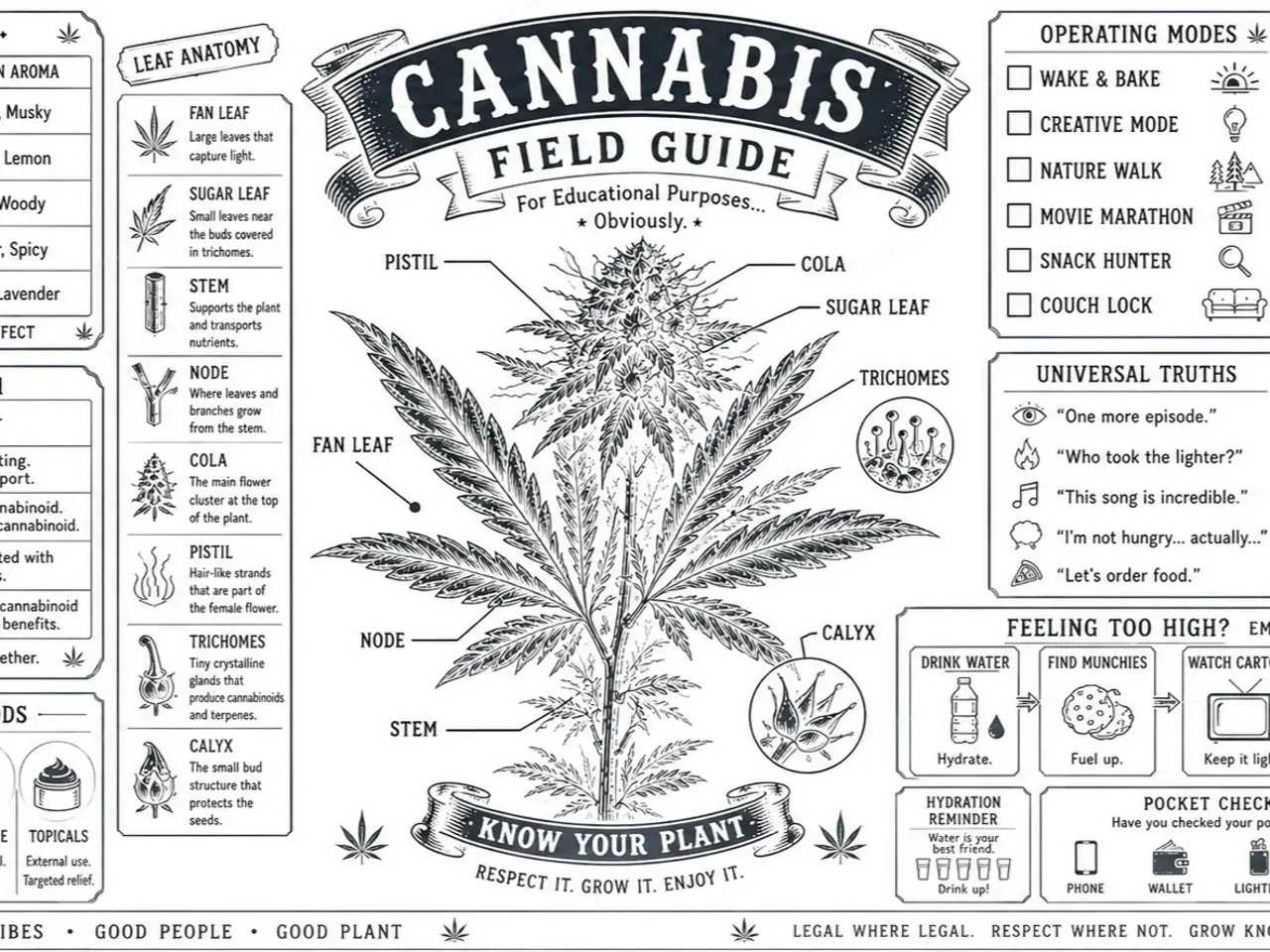 [Laser cut and engrave] Cannabis Field Guide Educational Botanical Anatomy Poster