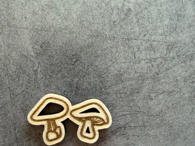 mémo champignons