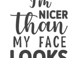 [Laser cut and engrave] I'm Nicer Than My Face Looks Sarcastic Typography Quote