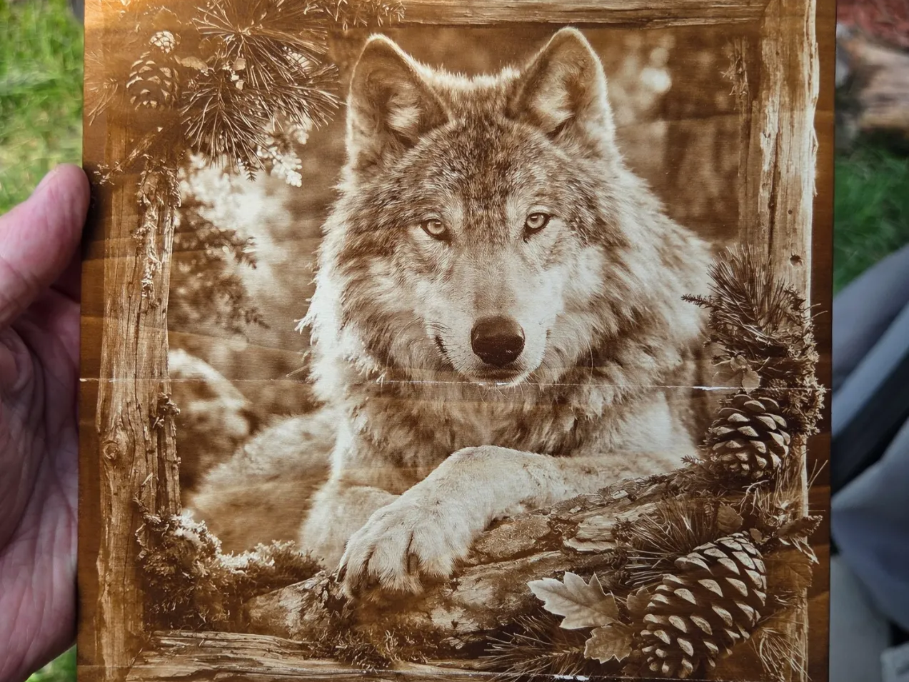 Wolf portrait wall art with pine forest border