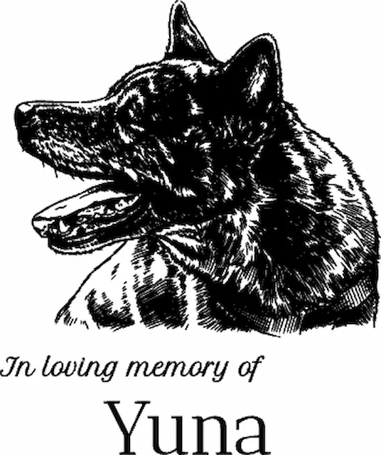 The Last Goodbye.xs