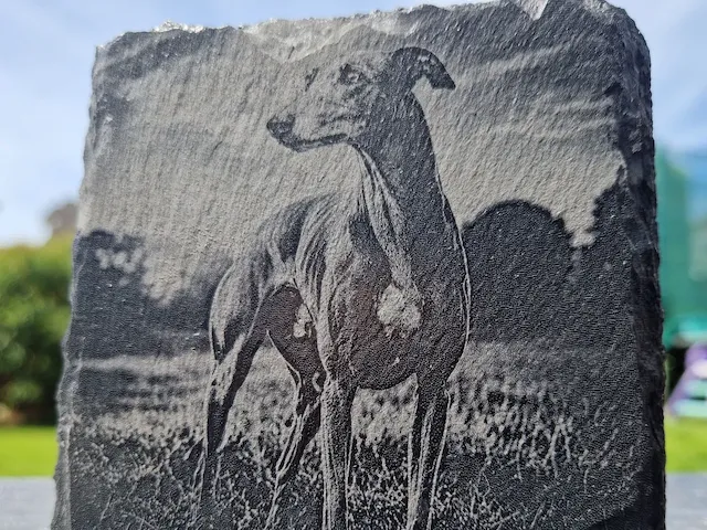 Greyhound Coaster