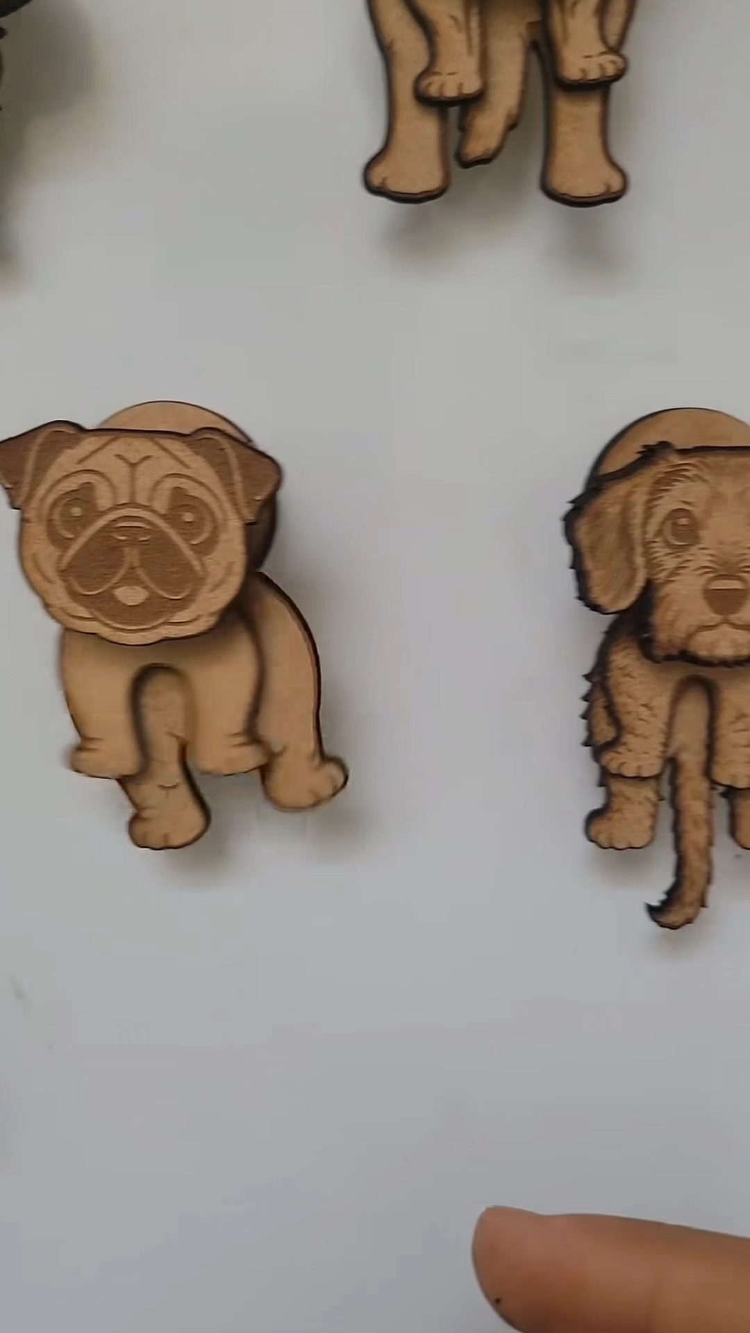 Dog Magnets Bundle