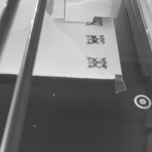 [Inkjet printing,Laser cut and engrave] Schnauzer Dog Expression Stickers Set